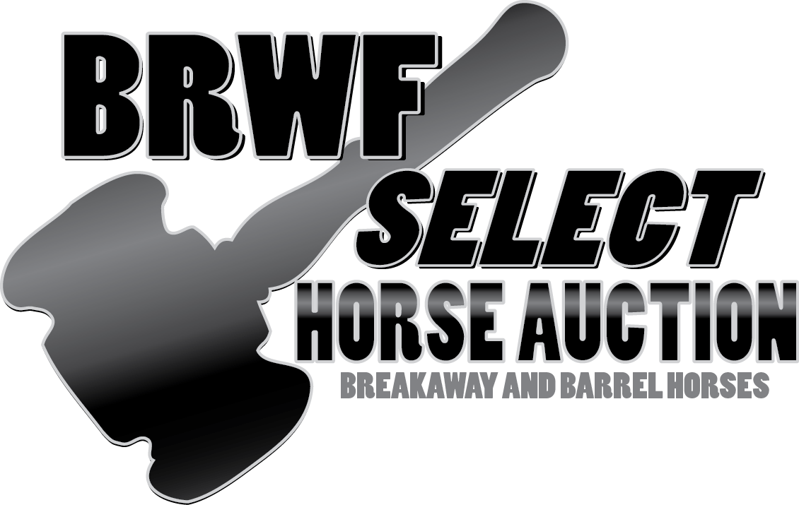 bonus race world finals select horse auction