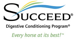 Succeed